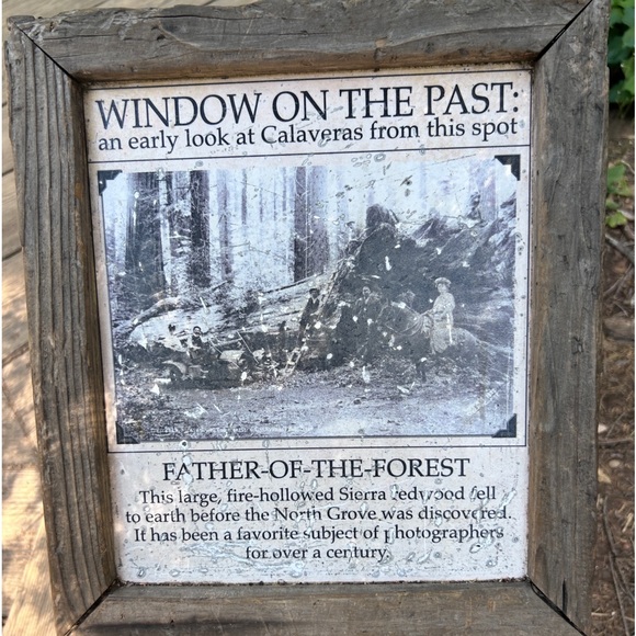 Meet your Posher, Sheila - Picture 11 of 15